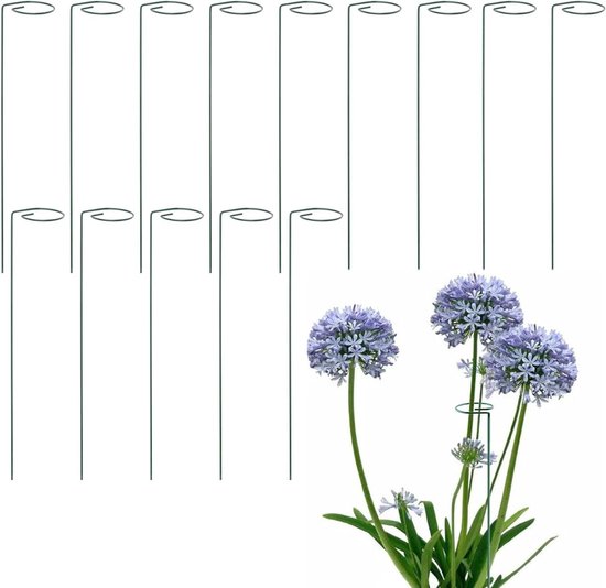 14-delige set van 40 cm kleine plantsteunen voor bloemen, struiken en orchideeën - ideaal voor rozen, lelies en tomaten