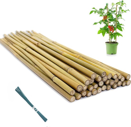20 Stuks Bamboe Plantsteunen met Verweven Touwen voor Klimplanten, Tomaten en Tuinondersteuning (45 cm)