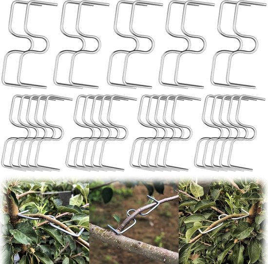 30 takspreiders voor fruitbomen, 8/10 cm, taksteun en takspanner voor optimale groei en ondersteuning van fruitboomtakken in de tuin