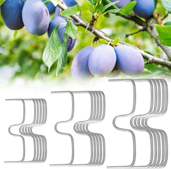 36-delige takondersteuning voor fruitbomen - Sterke metalen plantsteunen voor optimale groei en ondersteuning van takken, geschikt voor 8, 10 en 13 cm takken