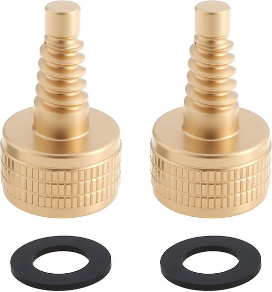 Allecto - Biljart Keu Schroeven - Club Gewicht Bout - Messing - Pool Keuen - 17mm - 2 stuks - Geschikt voor Club en Pool Keuen van Merkloos