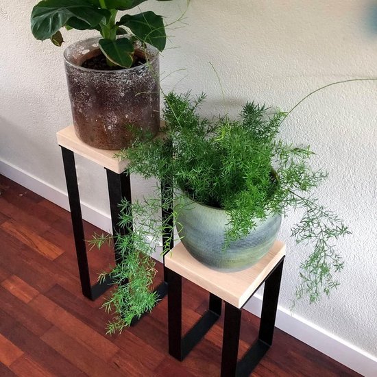 Bijzettafels - Plantentafel Mat Zwart (set)
