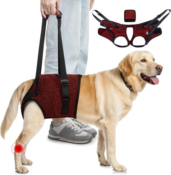 Comfortabele en Verstelbare Heupharnas voor Middelgrote Honden, Geschikt voor Oudere en Gewonde Honden, XL, Rood, Ondersteuning bij Artrose en Beweging