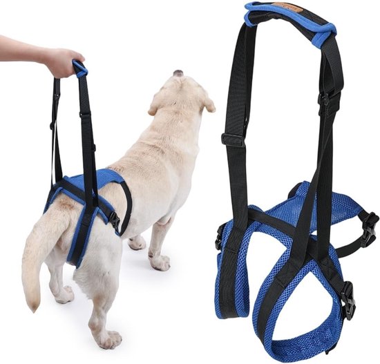 Draagriem voor Honden met Handvat, Trapsteun voor Oudere en Gehandicapte Honden, Verstelbare Ondersteuningsharnas voor Lame Honden (M)