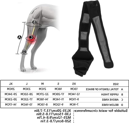 Elbow Protector voor Honden, Ondersteuning voor Elleboog en Schouder, Knieband voor Dysplasie en Artritis, Comfortabele Bescherming voor Honden