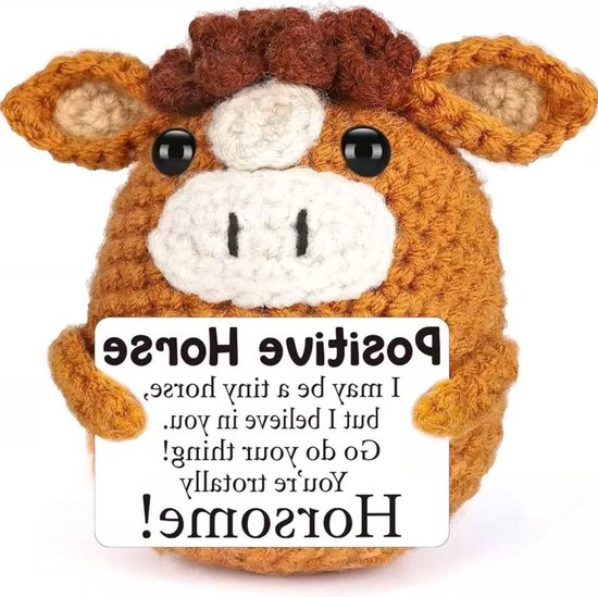 Hartige Gehaakte Pocket Hug voor Positieve Steun, Afscheidsgeschenk voor Collega's en Emotionele Ondersteuning