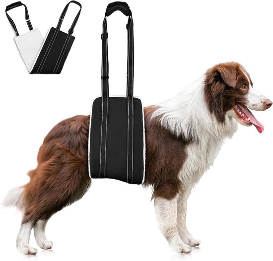 Hondenhulpmiddel voor Achterpootondersteuning, Verstelbare Draagband voor Oudere Honden, Steun voor Zwakke Achterpoten en Honden met Verwondingen (L)