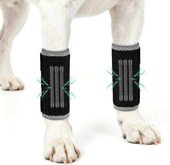 Hondensteun voor Voorpoten met 3 Metalen Rails, Ondersteuning voor Likkende Honden, Verbanden voor Wonden en Verstuikingen