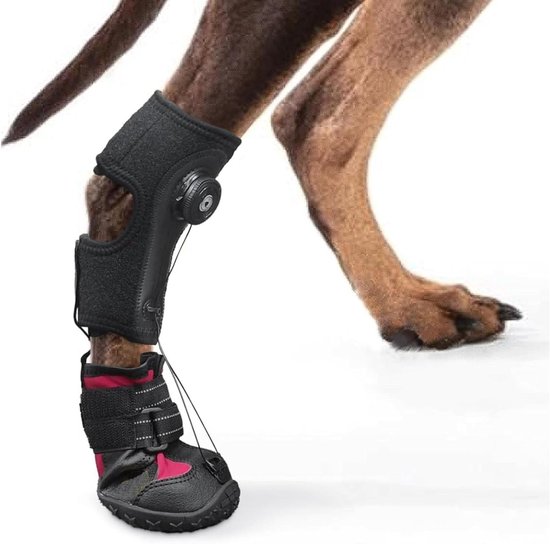 Hondenzoolsteun voor Pootproblemen, Correctieve Schoenen voor Hond met Ondersteuning bij Artritis en Pootbescherming (XL)