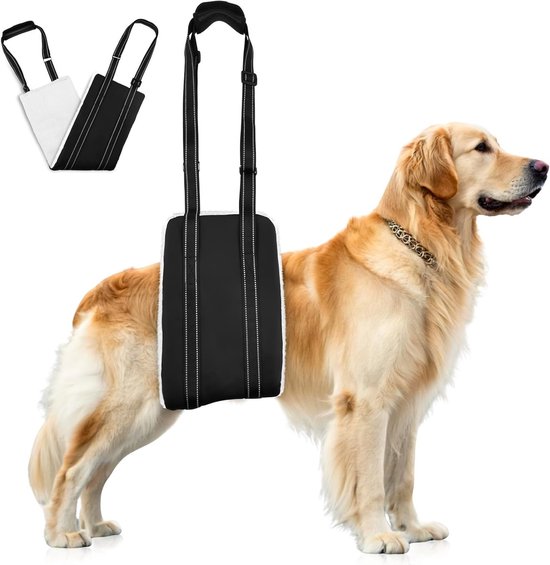Hulpmiddelen voor Hondemobiliteit - Verstelbare Draagband voor Achterpoten, Ondersteuning voor Oudere Honden met Zwakke Achterbenen en Blessures (XL)