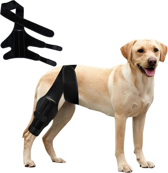 Knieorthese voor honden bij gescheurde kruisbanden, verstelbare heupsteun en stabilisatoren voor achter- of voorpoten