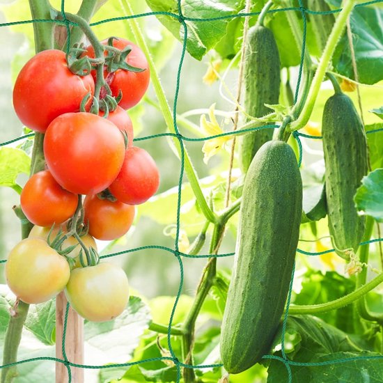 Pea en Bean Net 3.6 x 1.8 m Groen Tuinnet voor Klimplanten, Ondersteuning voor Groenten, Bloemen en Fruit