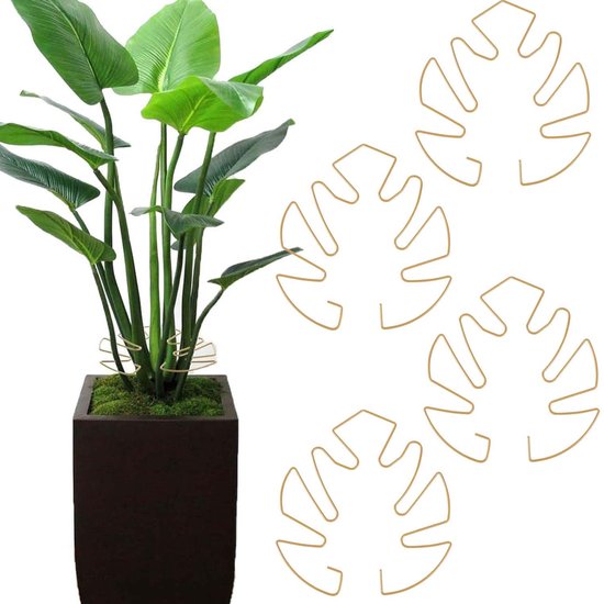 Pflantensteun 4-delig voor Monstera en andere kamerplanten
