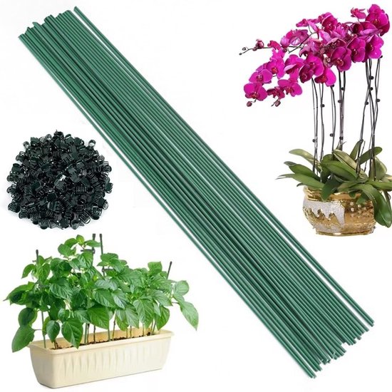 Pflantensteunen, 20 Stuks, 30 cm Hoog, met 20 Clips voor Orchideeën