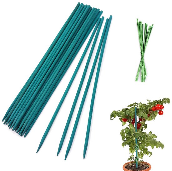 Pflantensteunen 25 stuks 30 cm met 50 binders voor klimplanten