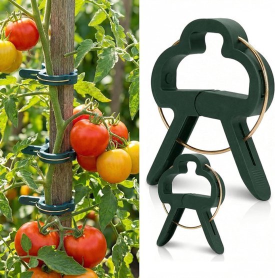 Plantenclips voor tomaten, komkommers en klimrozen - 100 stuks, herbruikbaar, voor optimale ondersteuning van tuinplanten, 2 maten beschikbaar