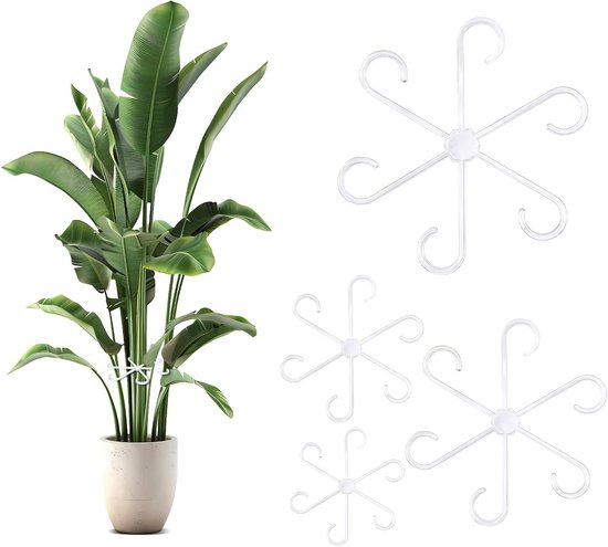 Plantsteun Set voor Bloemen, Rozen, Tomaten en Klimplanten - Ondersteuning voor Binnen- en Buitenplanten (4, Transparant)