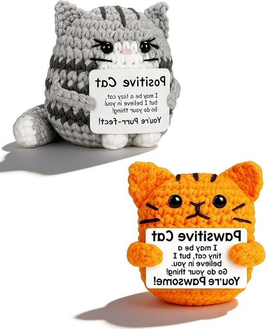 Positieve gehaakte pluche dieren, set van 2, kat met motiverende berichtenkaart, emotionele steun en haken cadeau