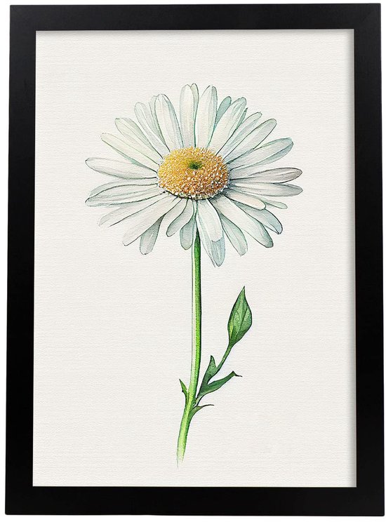 Poster in aquarel stijl Bloem Plant Botanische Illustratie Witte Achtergrond muurkunst prints voor Huis, Woonkamer Interieur Decoratie. Model 1, Maat A4