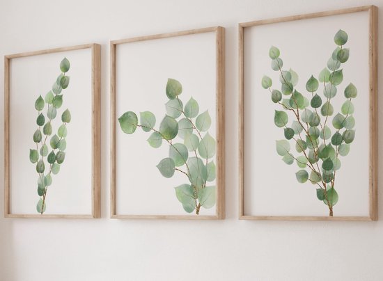Posters for Room – Set van 3 Ongeframeerde A4 Posters, Muurdecoratie Eucalyptus, Botanische Wandkunst en Tropische Plantendecoratie