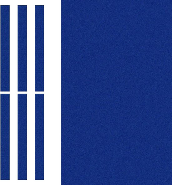 Professionele Biljartdoek 2.4m voor Pooltafels met 6 Viltstroken - Vervangingsaccessoires voor Snooker en Biljartclubs in Blauw van Merkloos