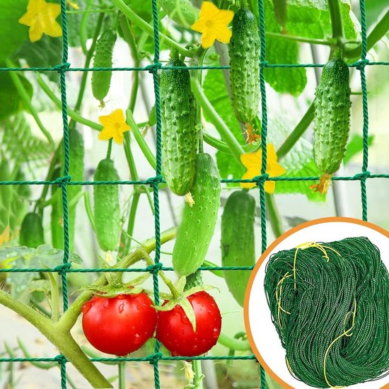 Robuuste Tuin Trellis voor Klimplanten, Ideaal voor Komkommers, Groene Erwten en Tomaten, Buiten Gebruik (2.9 x 1.8 m) van Merkloos