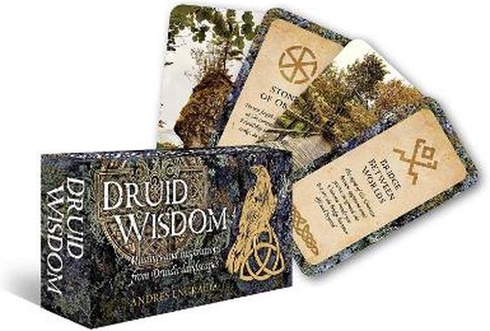 Rockpool Mini Cards- Druid Wisdom