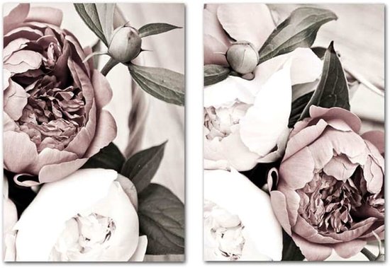 Roze Witte Bloem Blad Plant Canvas Schilderijen Nordic Botanische Posters Prints Moderne Voor Thuis Muur Art Decor Foto 50x70cmx2 Geen Frame