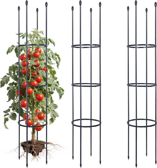 Set van 2 metalen tuin klimsteunen van 160 cm met 30 plantclips voor tomaten, rozen en klimplanten