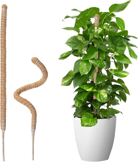 Set van 2 Vouwbare Klimplant Steunen voor Monstera, 70 cm Hoog, Geschikt voor Binnenplanten, Ideaal voor Tuin en Interieur