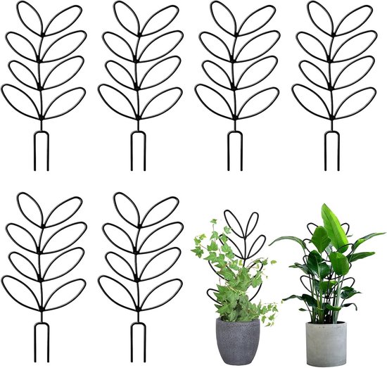 Set van 6 plantsteunen voor klimplanten zoals Monstera en Hoya in de tuin - ideaal voor ondersteuning en groei