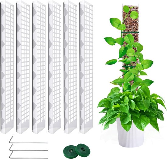 Stapelsysteem voor Klimplanten met Kokosnootstokken - 4 Stuks, 40 cm Hoogte, Ideaal voor Thuis Tuin en Plantondersteuning