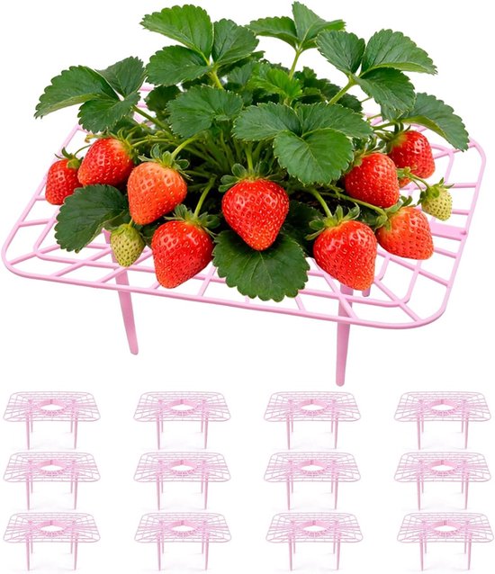 Stevige Aardbeiensteun met 4 Stabiliteitsbenen, Groeiraam voor Aardbeien, Voorkom Aardbeienrot, 12 Stuks (12)
