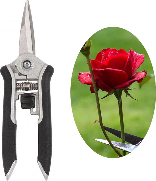 Tuin de Bruijn® snoeischaar - bloemenschaar - SK5 koolstofstaal - Knippen tot Ø6mm van Tuin de Bruijn®
