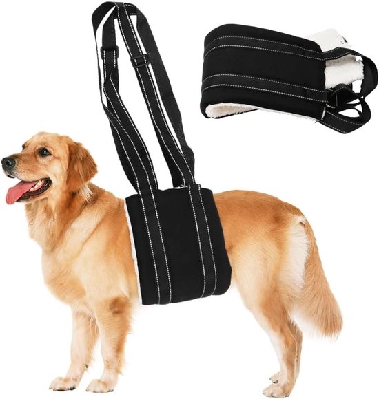 Verstelbare Draaghulp voor Honden, Zachte Draaghulp, Loopondersteuning voor Zieke, Gewonde of Oudere Honden (L) - Veiligheid, Comfort en Ondersteuning voor Diverse Rassen