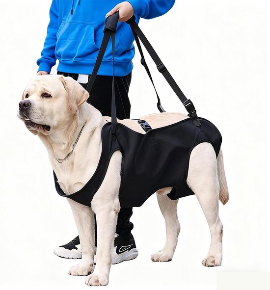 Verstelbare Hondenharnas met Kussen en Leash voor Oudere en Gehandicapte Honden met Artritis - Zwart (L)