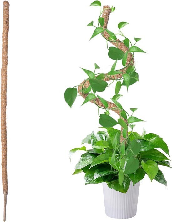 Vouwbare kokosvezel plantsteun voor klimop, monstera en andere kamerplanten - 120 cm hoog van Merkloos